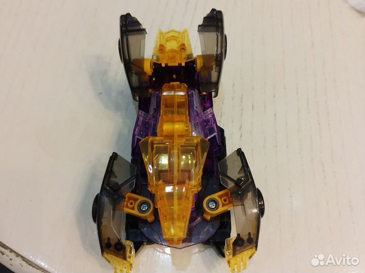 Дикий скричер в хорошем состоянии