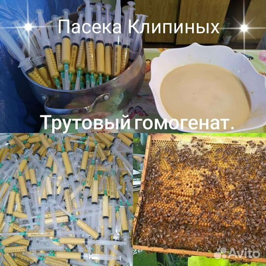 Трутневое молочко