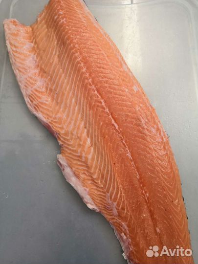 Филе морской форели охлажденное. Мурманск
