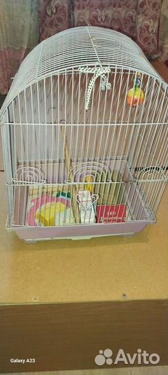 Клетка для попугая бу