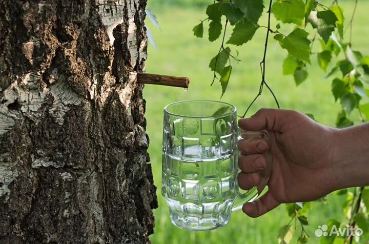 Уксус березовый