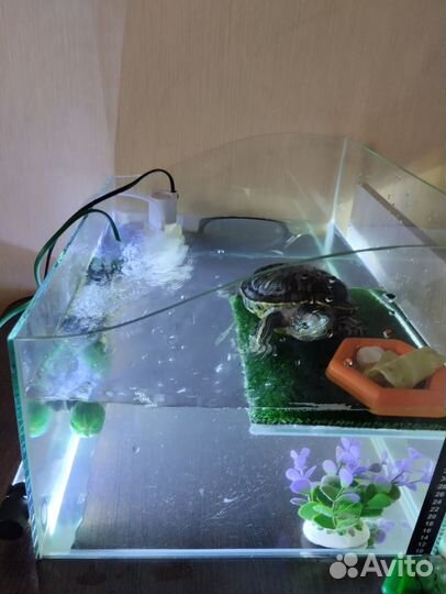 Аквариум