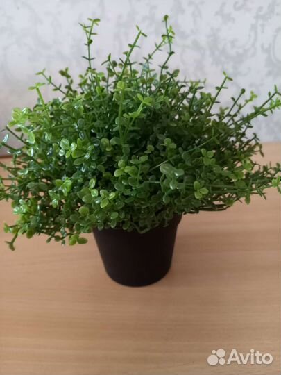 Искусственные цветы, IKEA