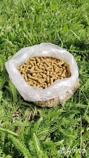 Премиум корм для собак