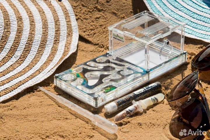 Муравьиная ферма