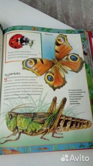 Энциклопедия для детей