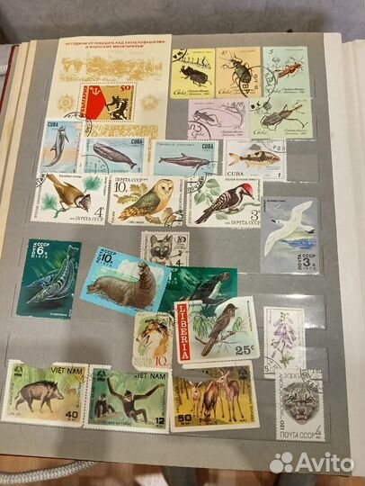 Почтовые марки СССР