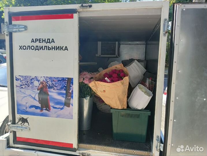 Аренда холодильника