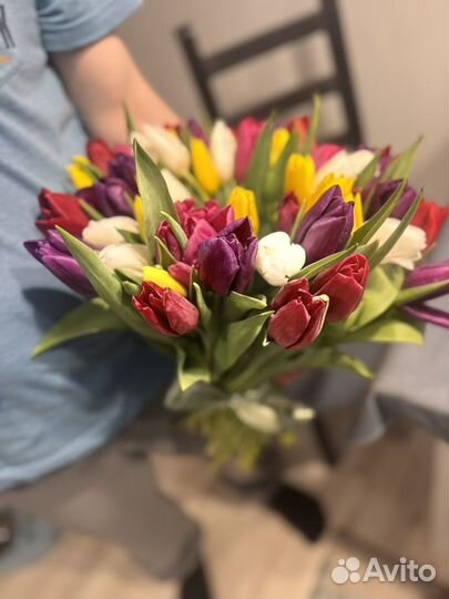 Цветы тюльпаны