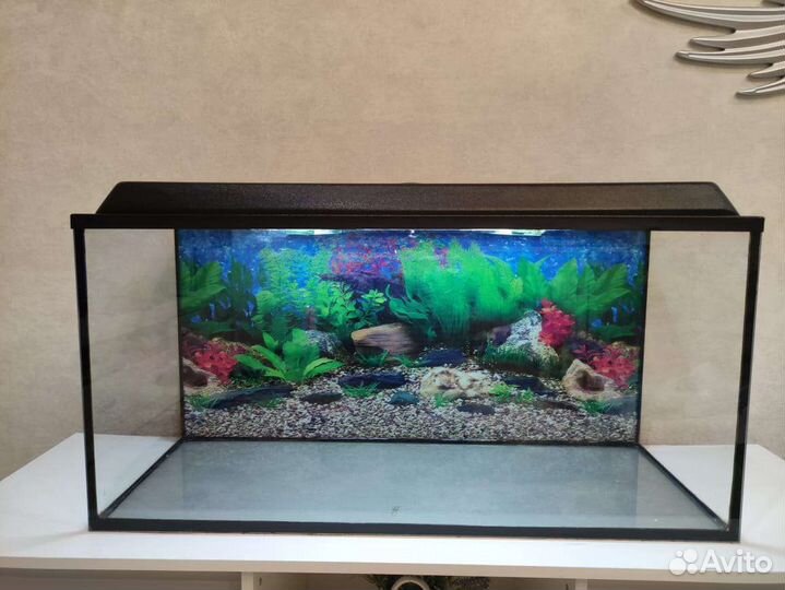 Аквариум