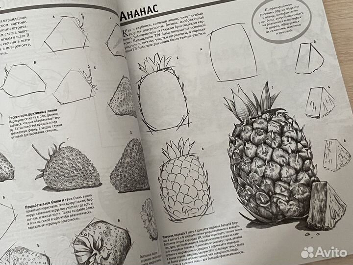 Книга полный курс рисования