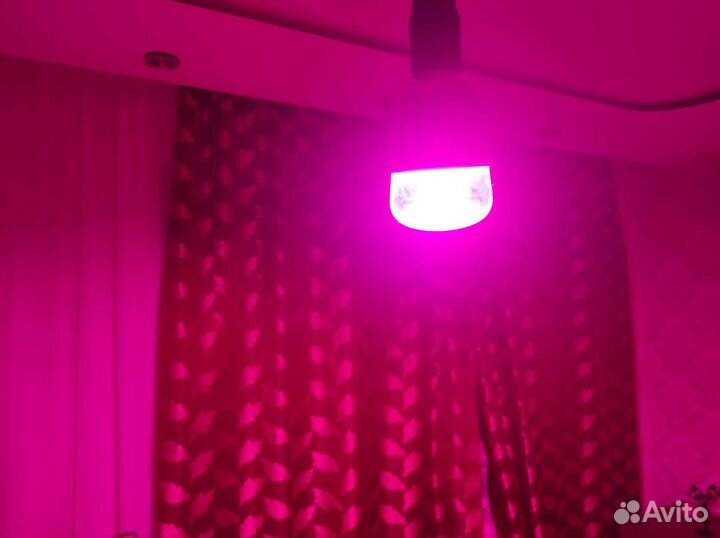 Фито лампа для растений