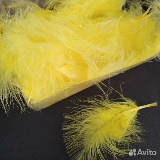 Перья птиц декоративные для творчества