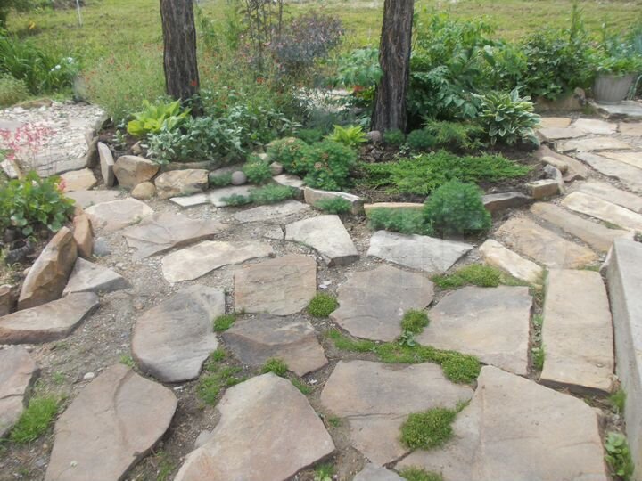 Участок 50 сот. (СНТ, ДНП)