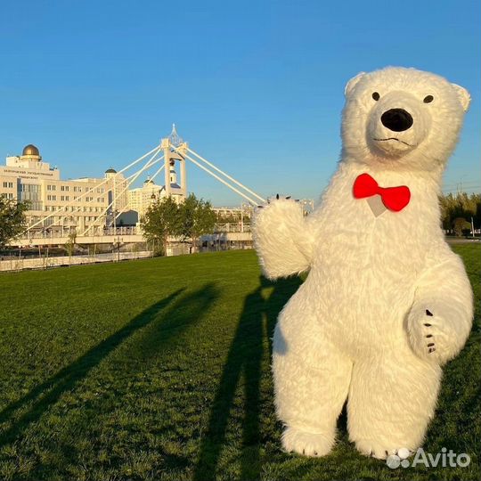 Медведь на праздник/аниматор/Белый мишка