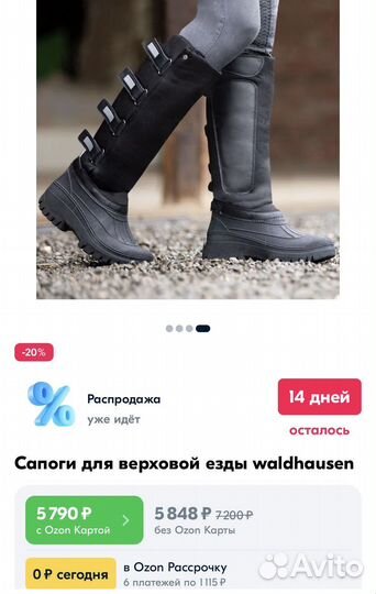 Термосапоги для конного спорта dafna p. 40 израиль