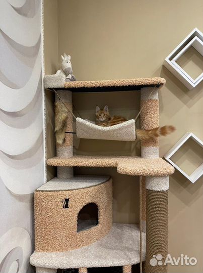 Домик - когтеточка, лежанка для котов(кошек) новый