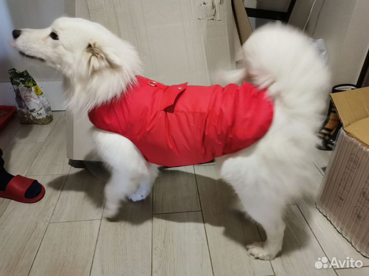 Куртка для большой собаки
