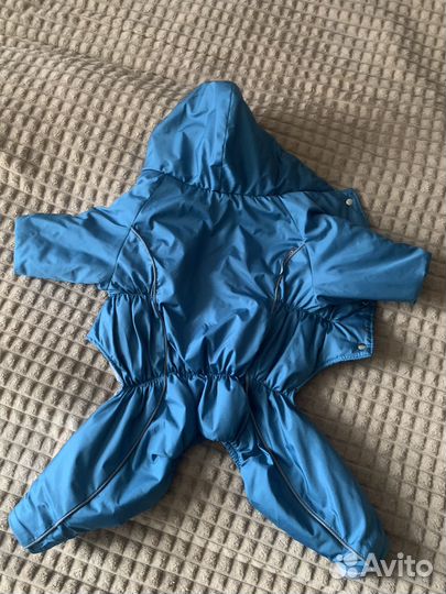 Комбинезон для собаки