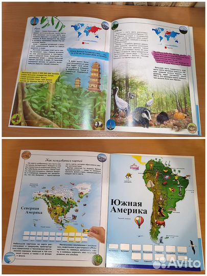 Детская книга с картой и наклейками Животные