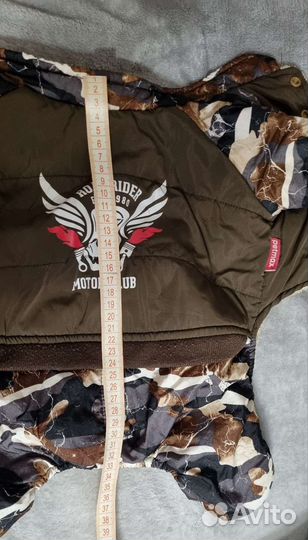 Одежда для собак