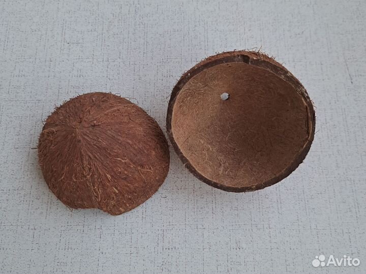 Кокос для грызунов