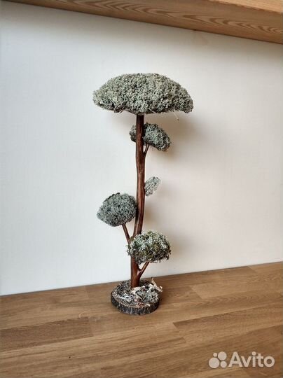 Дерево бонсай декоративное