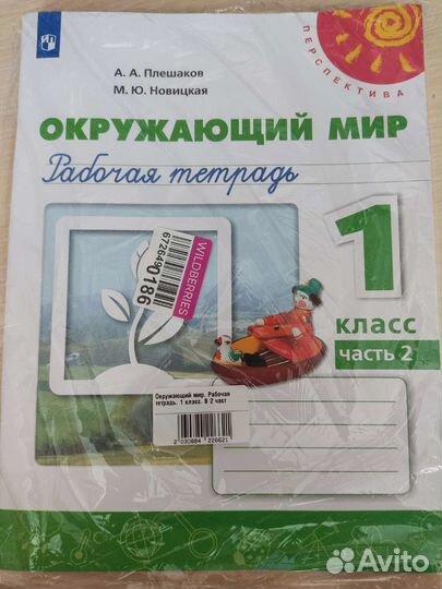 Рабочая тетрадь окружающий мир 1 класс