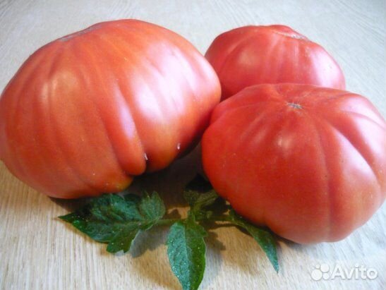 Семена томатов