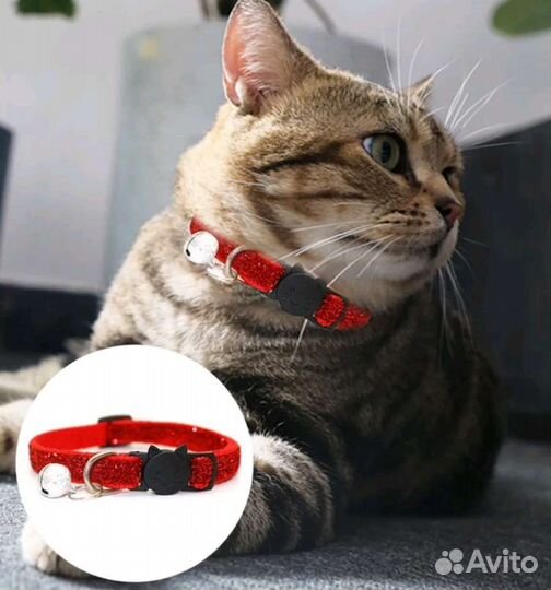 Ошейник для кошек