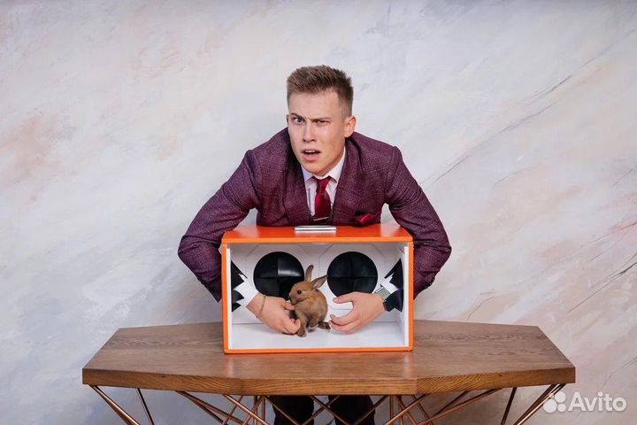 Ведущий тамада на свадьбу, юбилей, выпускной