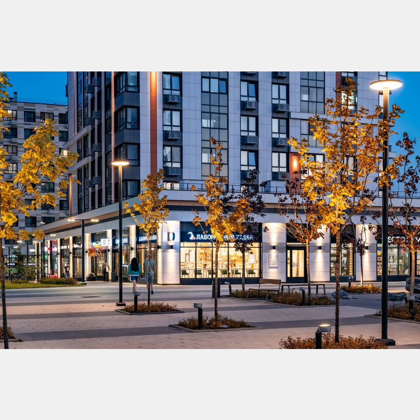 1-к. квартира, 42,8 м², 4/25 эт.