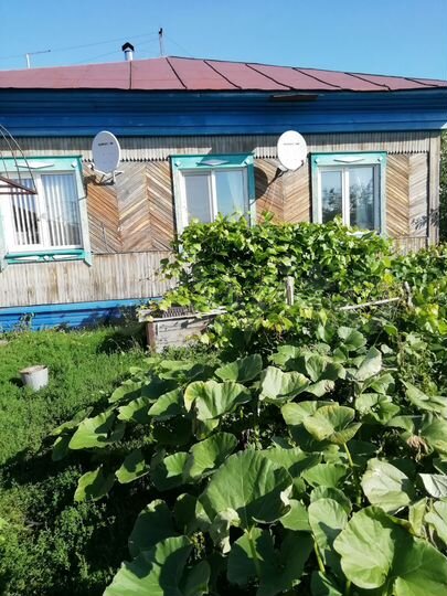 Дом 76 м² на участке 27 сот.