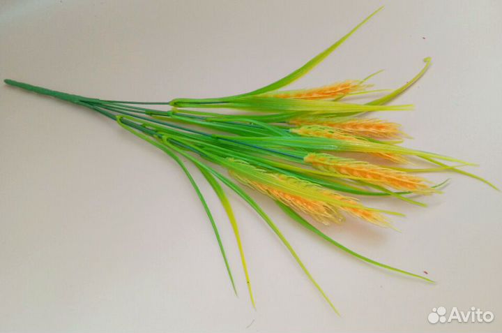 Флористика