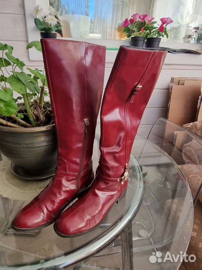Сапоги женские весенние 37