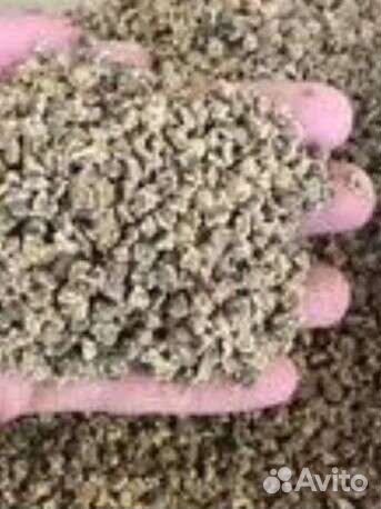 Семена кормовой и сахарной свеклы