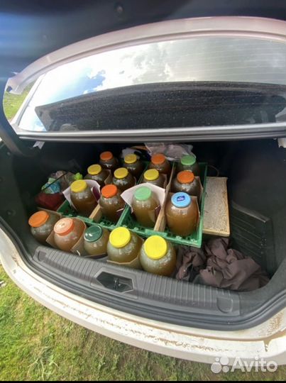 Мед липовый