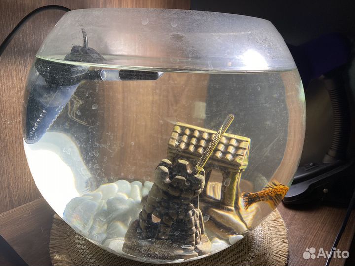Аквариум круглый