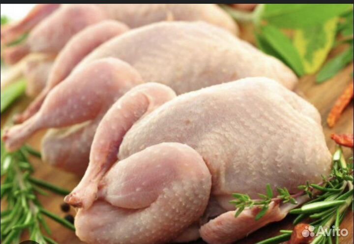 Мясо домашнего бройлера