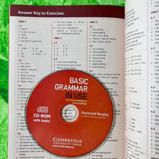 Basic Grammar in Use Murphy 4th edition