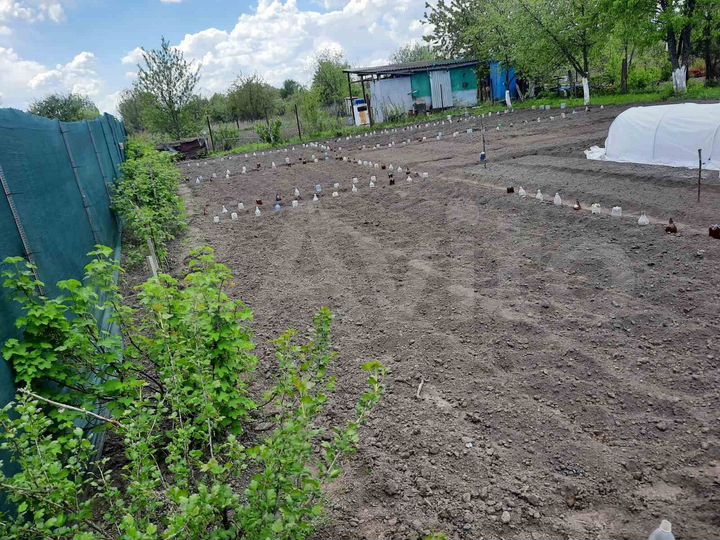 Участок 6 сот. (СНТ, ДНП)