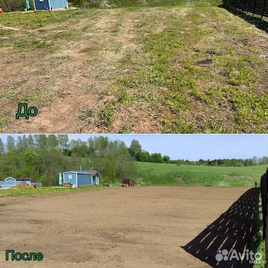 Газон, посев газона,благоустройство участка