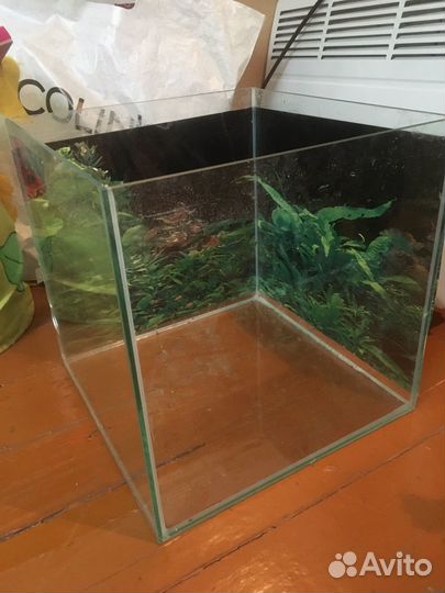 Аквариум