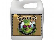 Стимулятор AN Big Bud Coco Liquid 4л