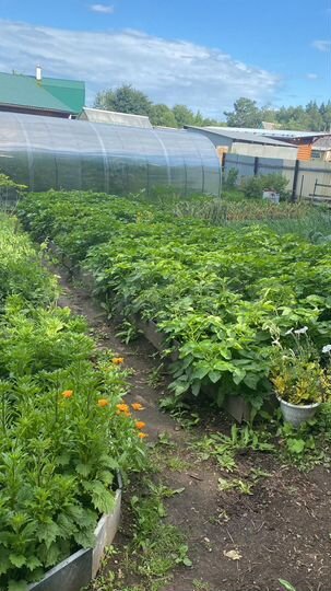 Дача 25,5 м² на участке 5,6 сот.