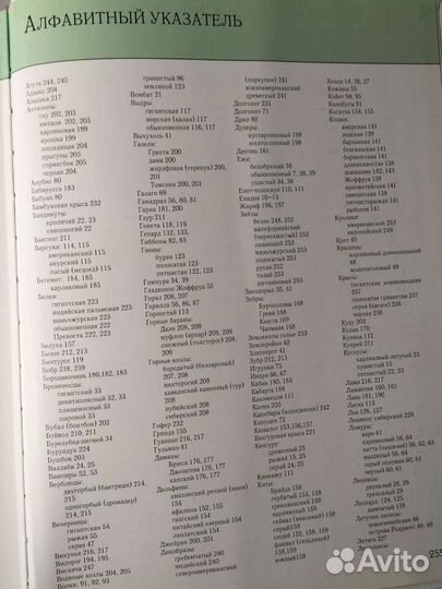 Полная энциклопедия животного мира