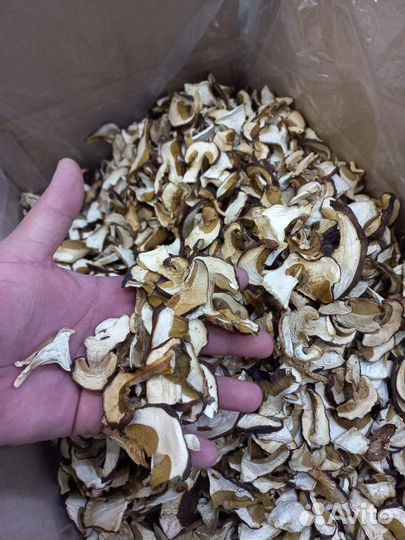 Сушеные белые грибы