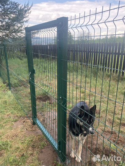 Вольер для собаки