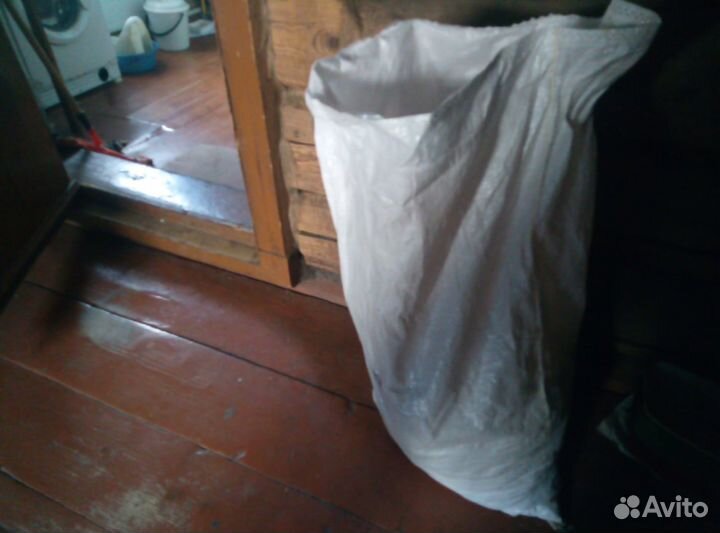 Картошка на посадку