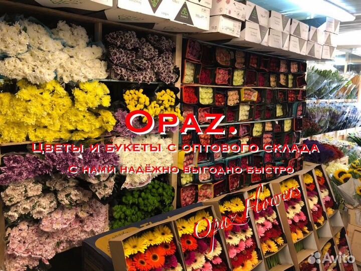 Букет 51 роза Цветы Букеты Доставка